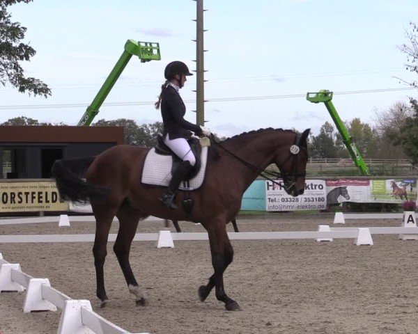 Reitturnier Ruhlsdorf 2024