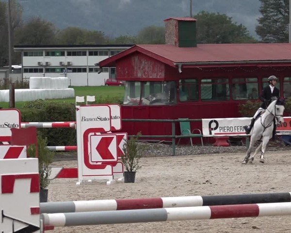 Reitturnier Giubiasco 2024