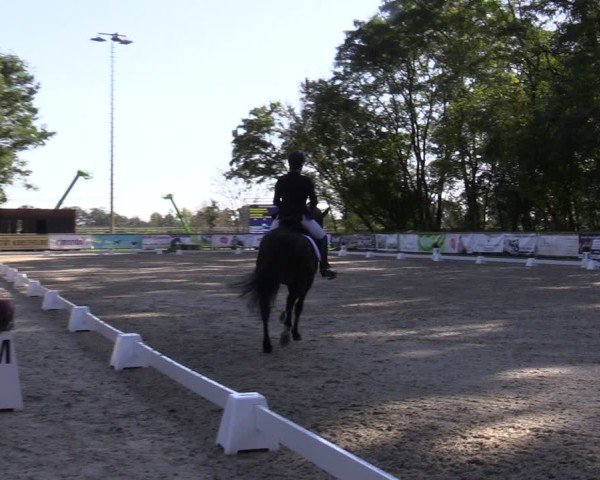 Reitturnier Ruhlsdorf 2024