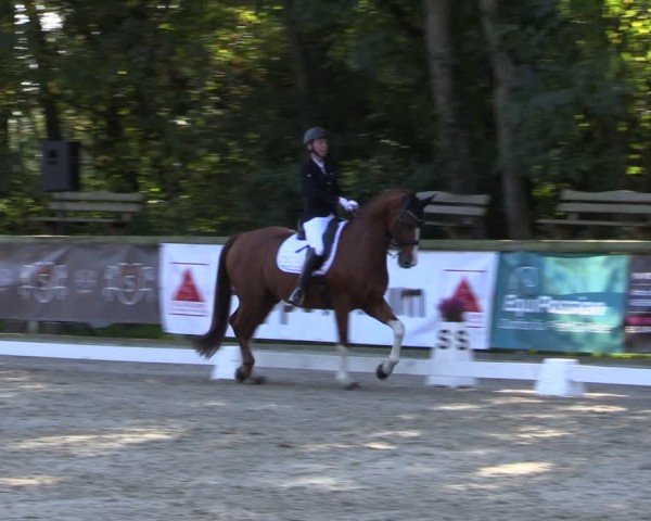 Reitturnier Ruhlsdorf 2024