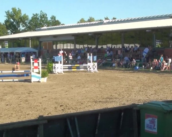 60. Lobbericher Reitsportfestival 01.-04.08.2013