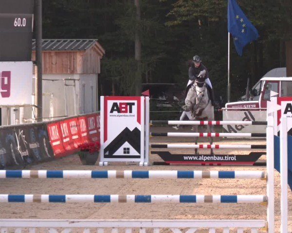 Reitturnier Ranshofen - Braunau am Inn 2024