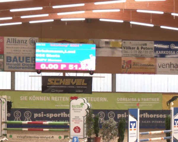 Reitturnier Isterberg 2024