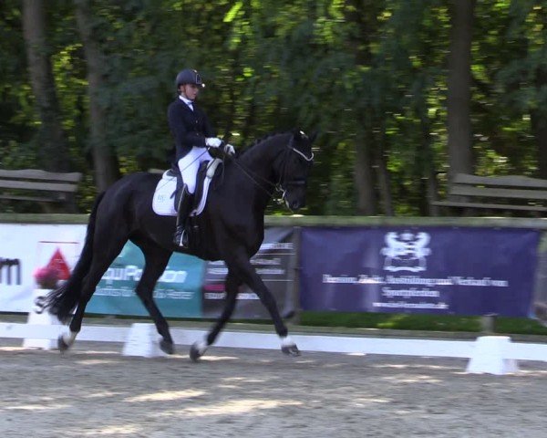 Reitturnier Ruhlsdorf 2024