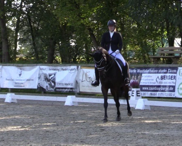 Reitturnier Ruhlsdorf 2024