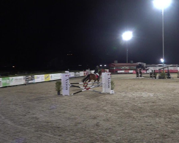 Reitturnier Giubiasco 2024