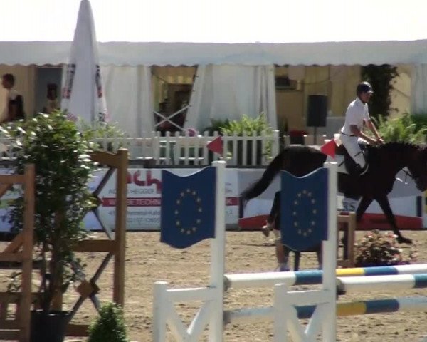 60. Lobbericher Reitsportfestival 01.-04.08.2013