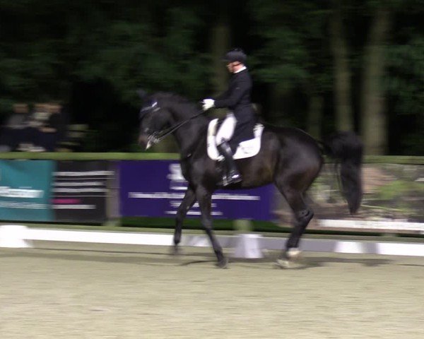 Reitturnier Ruhlsdorf 2024