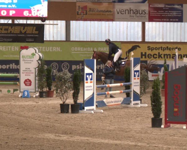 Reitturnier Isterberg 2024
