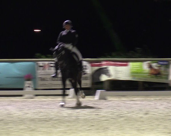 Reitturnier Ruhlsdorf 2024