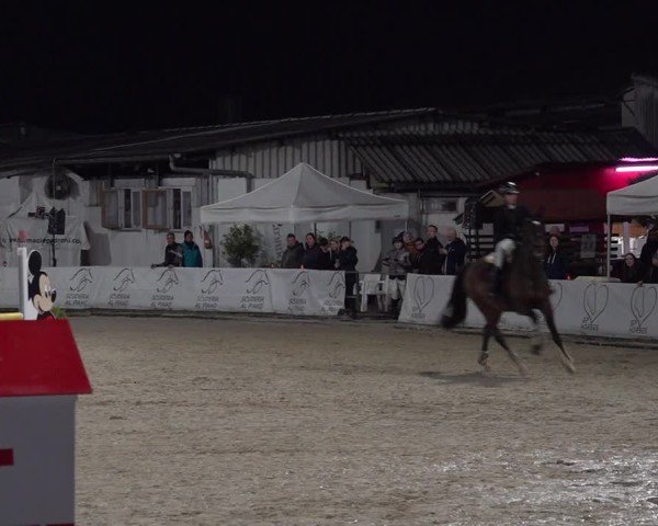 Reitturnier Giubiasco 2024