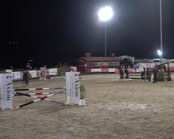 Reitturnier Giubiasco 2024