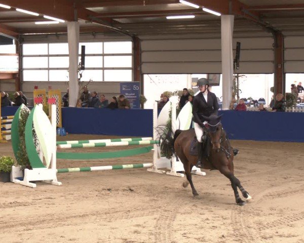 Reitturnier Isterberg 2024