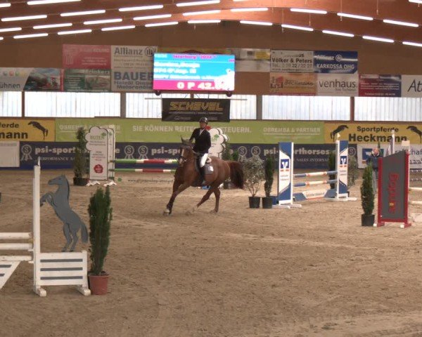 Reitturnier Isterberg 2024