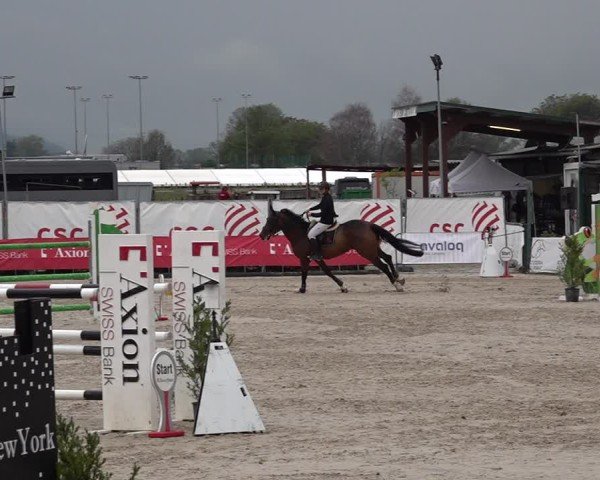 Reitturnier Giubiasco 2024