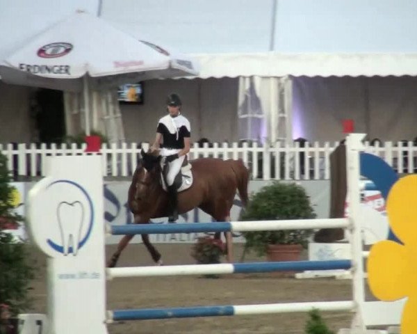 60. Lobbericher Reitsportfestival 01.-04.08.2013