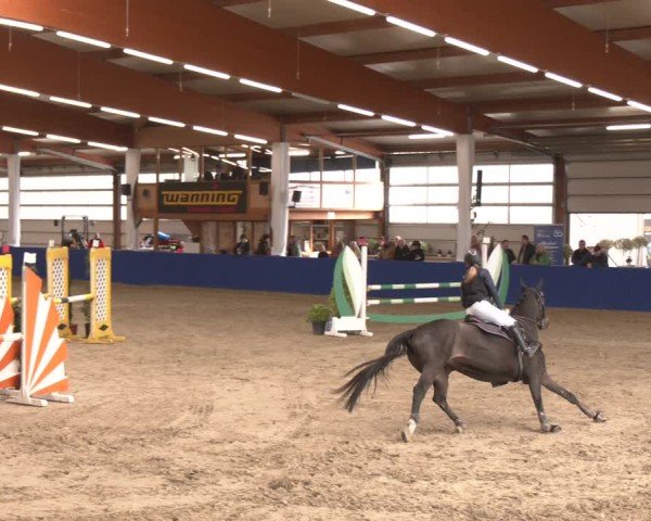 Reitturnier Isterberg 2024