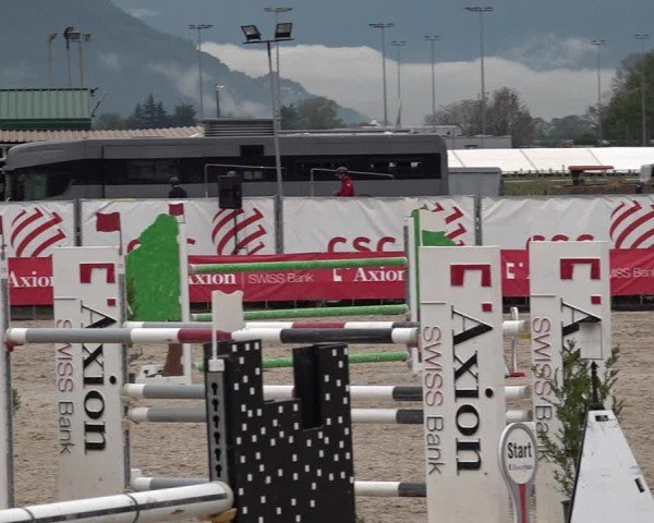 Reitturnier Giubiasco 2024