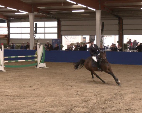 Reitturnier Isterberg 2024