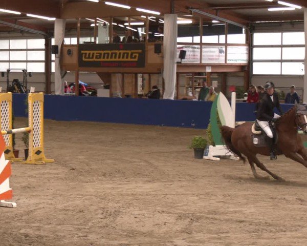 Reitturnier Isterberg 2024