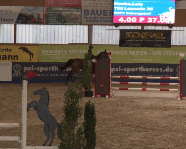 Reitturnier Isterberg 2024