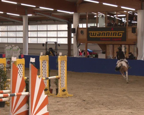 Reitturnier Isterberg 2024