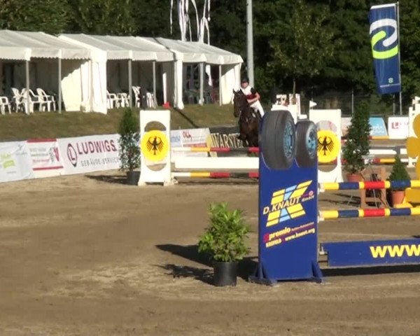 60. Lobbericher Reitsportfestival 01.-04.08.2013