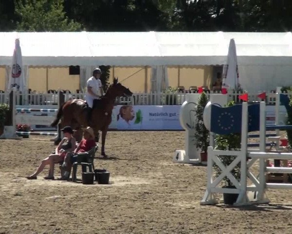 60. Lobbericher Reitsportfestival 01.-04.08.2013