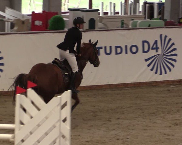 Reitturnier Prussendorf 2024