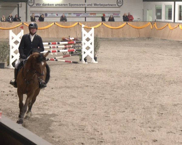 Reitturnier Salzkotten 2024