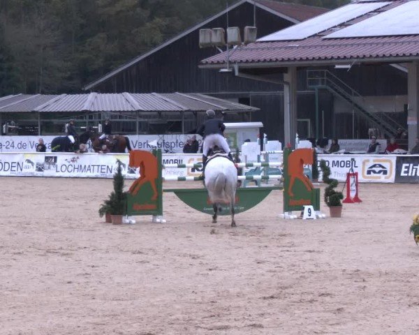 Reitturnier Ranshofen - Braunau am Inn 2024