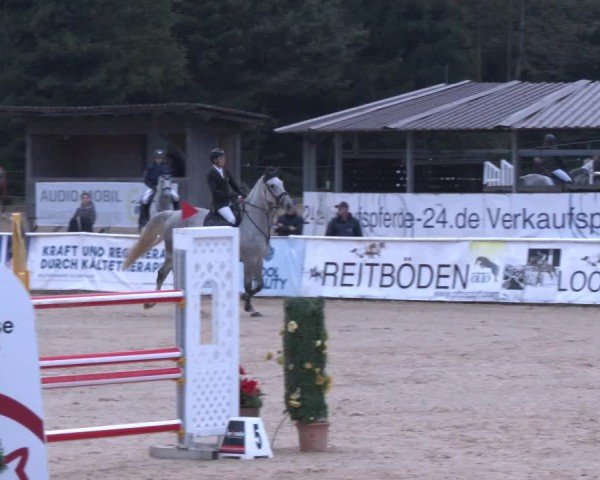 Reitturnier Ranshofen - Braunau am Inn 2024