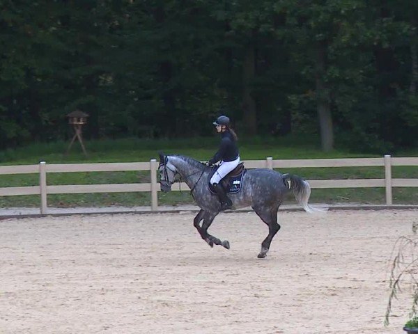 Reitturnier Tiefenhof/Opf. 2024