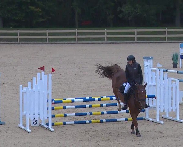 Reitturnier Tiefenhof/Opf. 2024