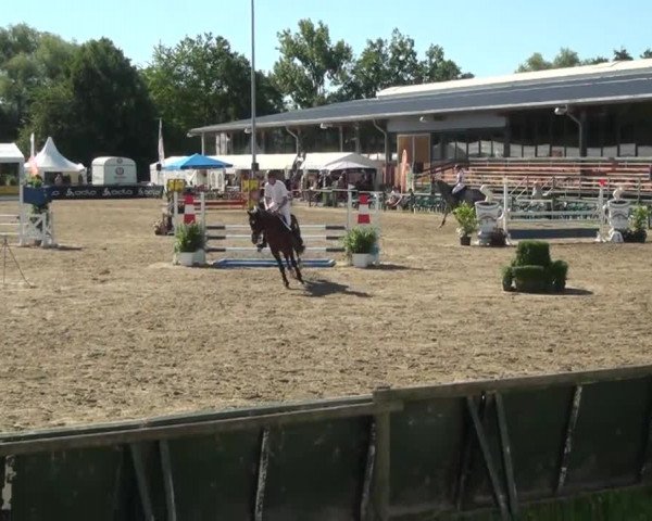 60. Lobbericher Reitsportfestival 01.-04.08.2013