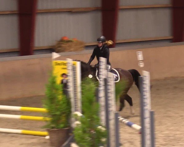 Reitturnier Behrendorf 2024