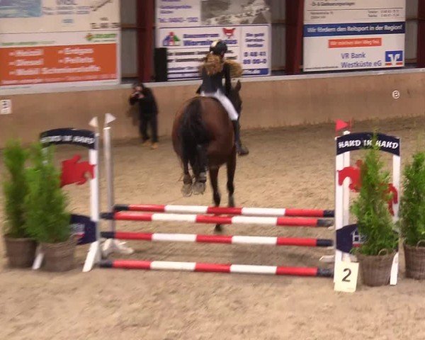 Reitturnier Behrendorf 2024