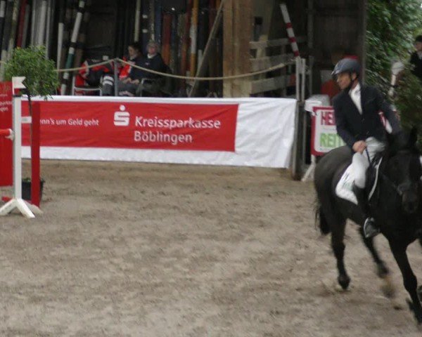 Reitturnier Böblingen 2024