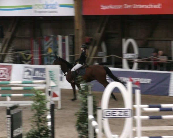 Reitturnier Böblingen 2024