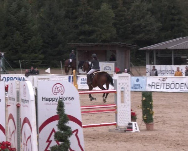 Reitturnier Ranshofen - Braunau am Inn 2024