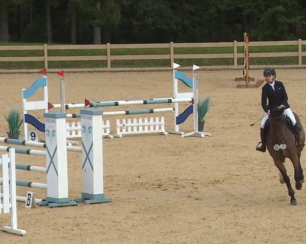 Reitturnier Tiefenhof/Opf. 2024