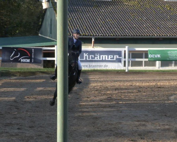 Reitturnier Teupitz 2024