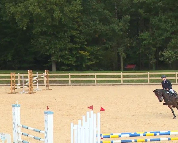 Reitturnier Tiefenhof/Opf. 2024