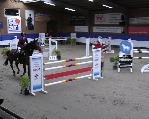 Reitturnier Gadebusch 2024