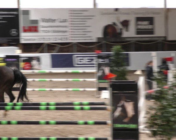 Reitturnier Böblingen 2024