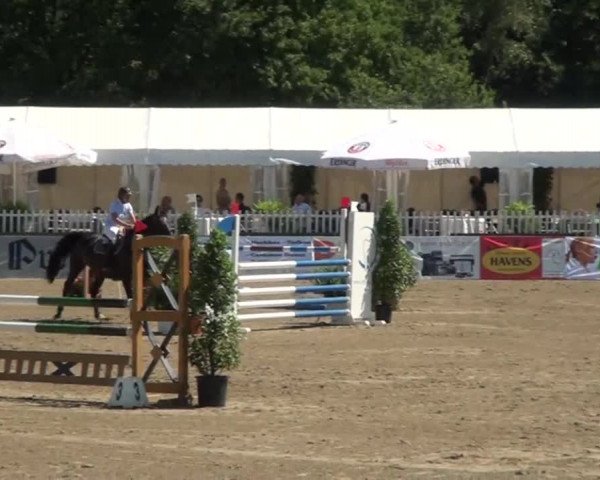 60. Lobbericher Reitsportfestival 01.-04.08.2013