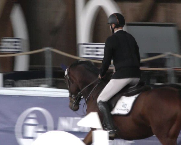 Reitturnier Böblingen 2024