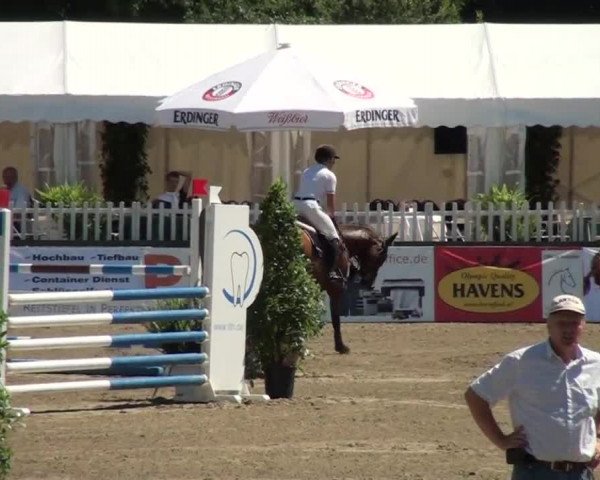 60. Lobbericher Reitsportfestival 01.-04.08.2013