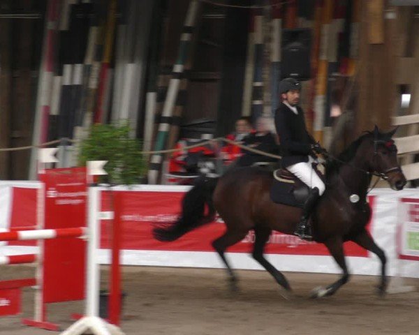 Reitturnier Böblingen 2024