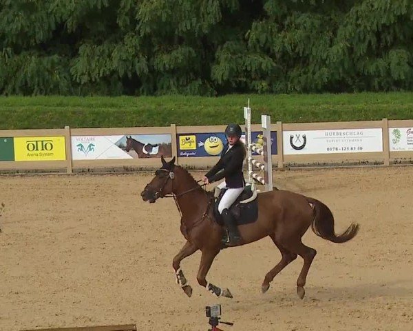 Reitturnier Tiefenhof/Opf. 2024